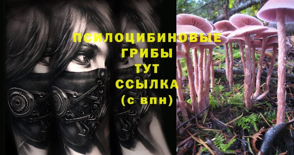MESCALINE Коряжма