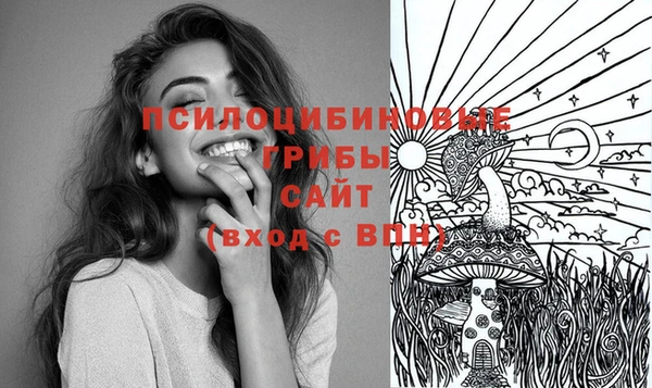 MESCALINE Коряжма