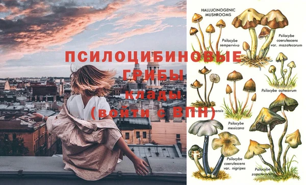 MESCALINE Коряжма