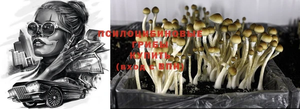 MDMA Корсаков