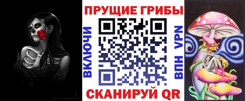 Галлюциногенные грибы GOLDEN TEACHER Купить Томмот