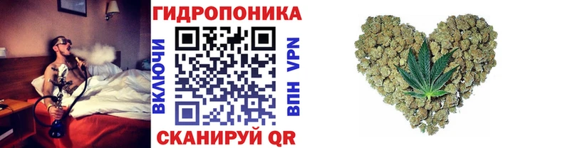 Купить где  Томмот  Бошки марихуана Amnesia 